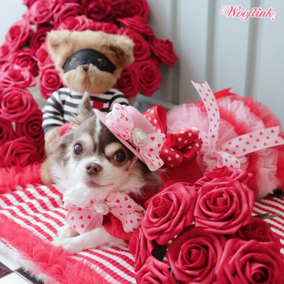 Someone Special Dress by Wooflink - Size 4 NEW - Picture 6 of 6